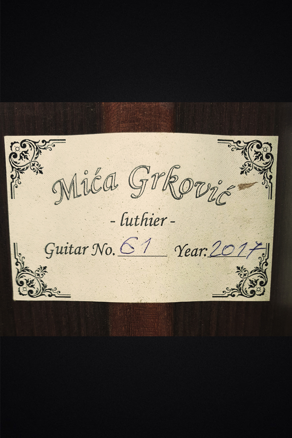 Mica Grkovic klasicna gitara