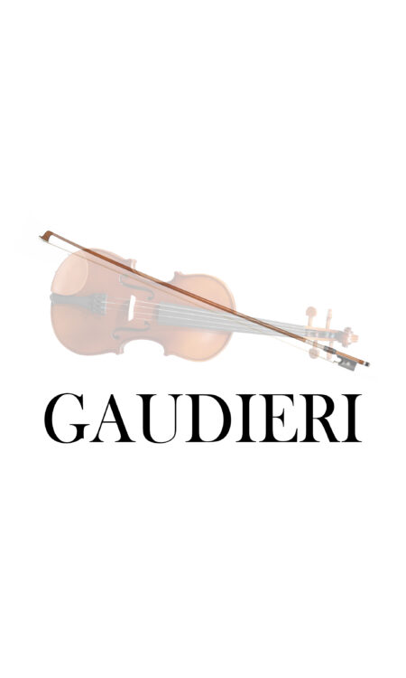 <div>Gaudieri</div> HD-V01
